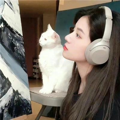 浮石传